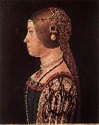 ARALDI, Alessandro Portrait of Barbara Pallavicino painting